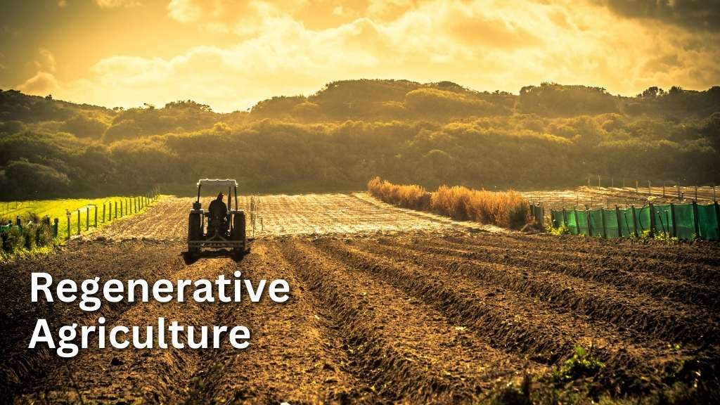 no tilling or less tilling : to help regenerative agriculture