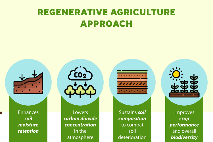 Soil health and importance of getting know your soil : 2nd most important principle of regenerative agriculture.