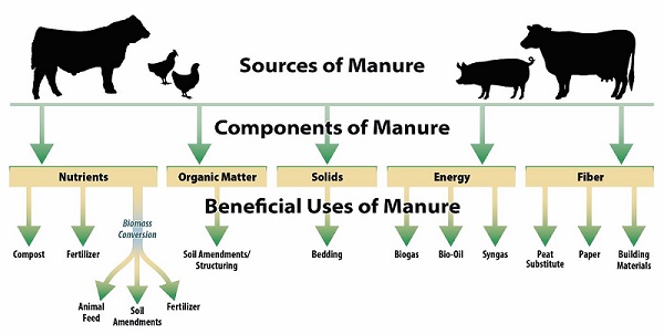 one of the most important principle of livestock in regenerative agriculture