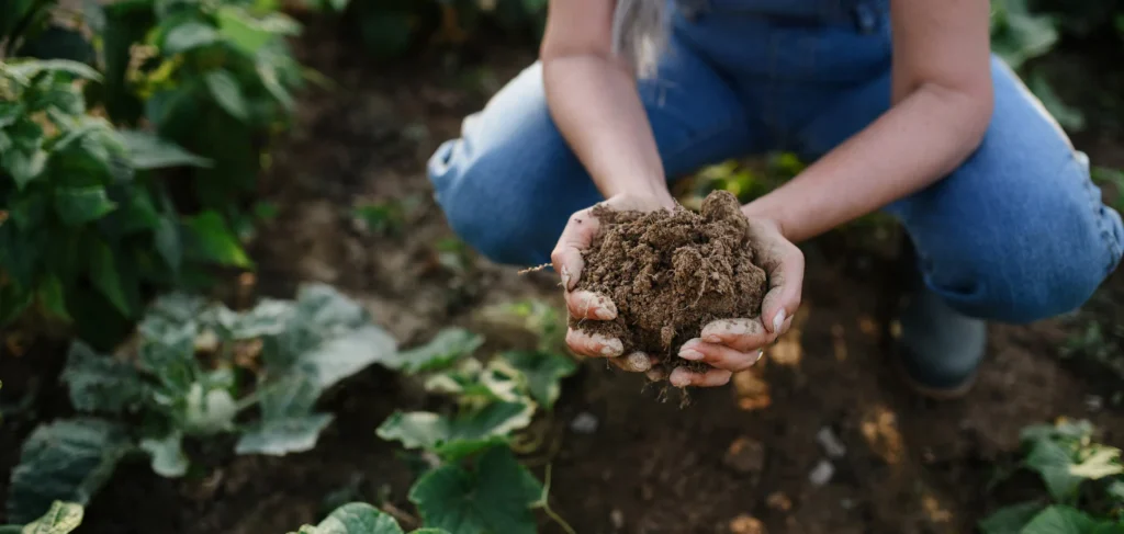 4 Principles of Regenerative Agriculture