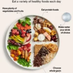 high protein foods